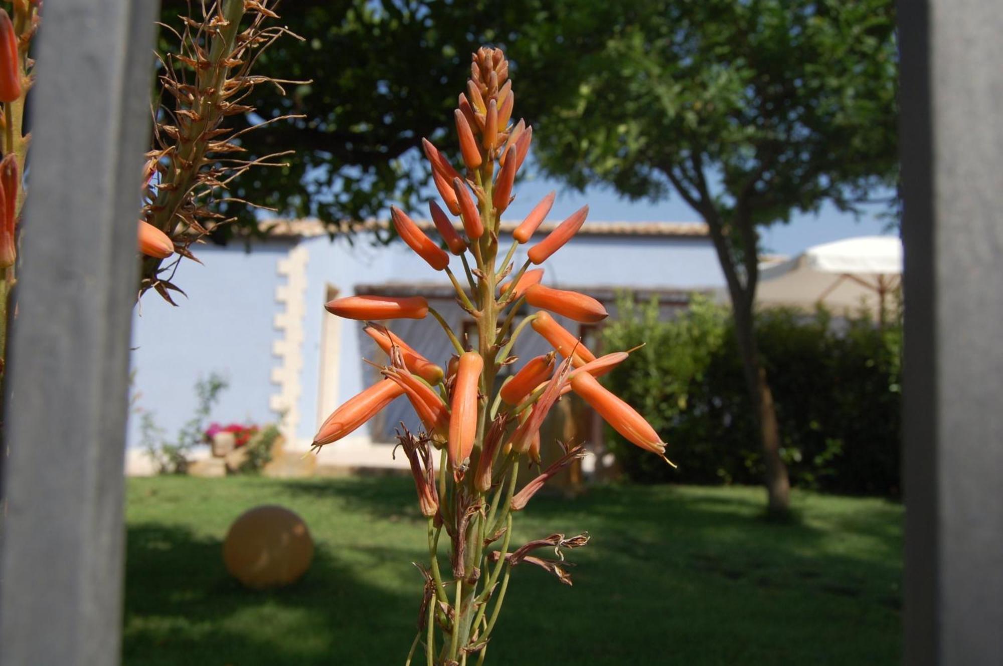 Terre Iblee Resort Chiaramonte Gulfi Luaran gambar
